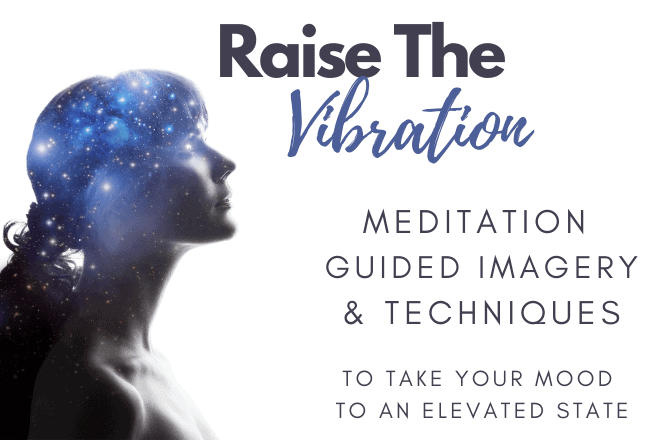 Raise the Vibration poster